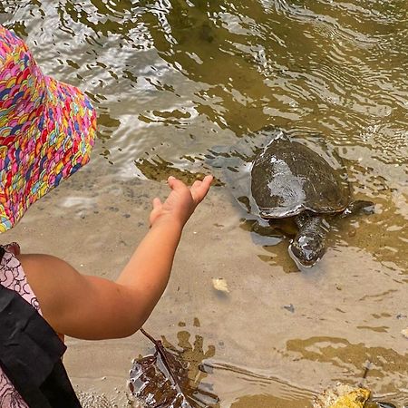Tasman Holiday Parks - Cairns Cool Waters Esterno foto