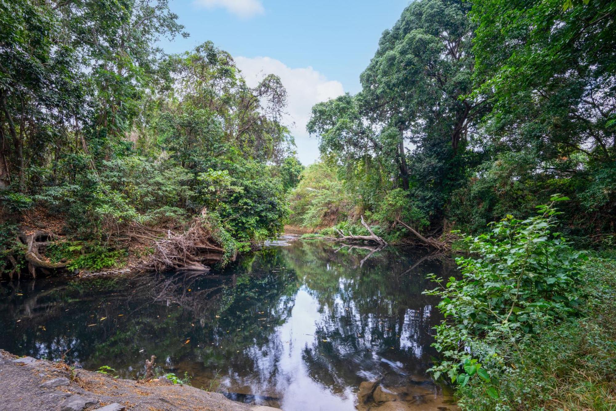 Tasman Holiday Parks - Cairns Cool Waters Esterno foto