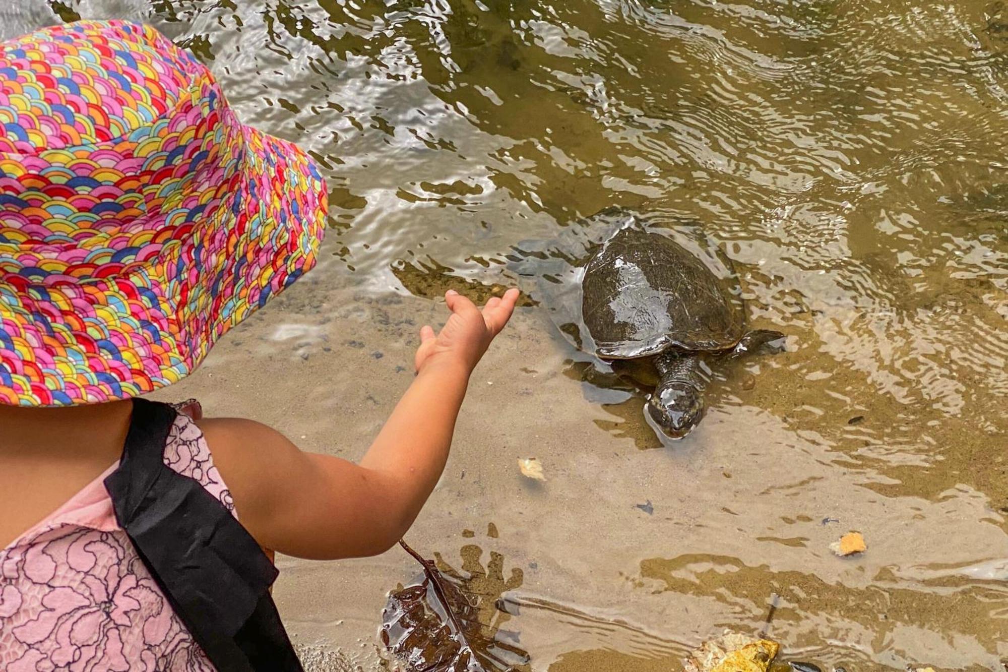Tasman Holiday Parks - Cairns Cool Waters Esterno foto